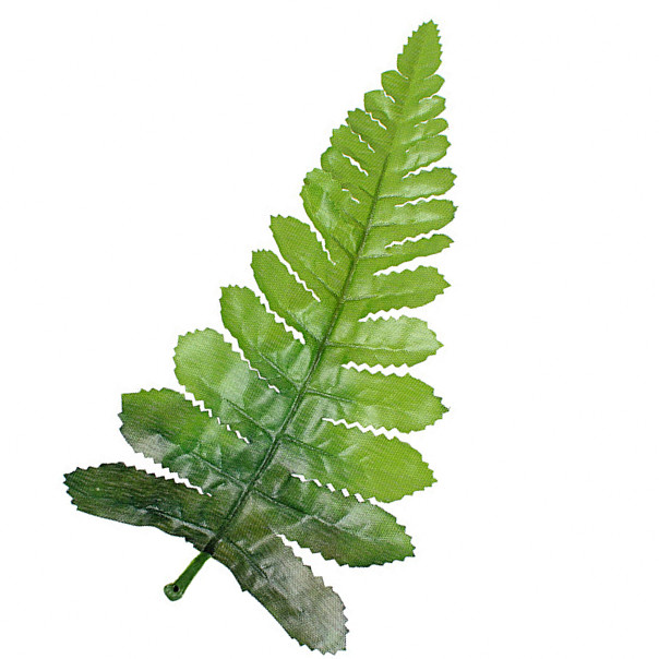 Штучний Зелений лист папороті, 20 см (100 шт/уп), фото 1