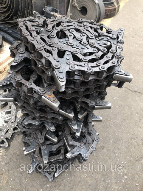 Киттердің порносы бүкіл әлемді жаулап алды.