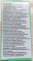 Сяо Яо Вань, 999 Три дев'ятки, діяльність лімфатичної системи, кровотворіння, нервова система 200 пилюль, фото 2