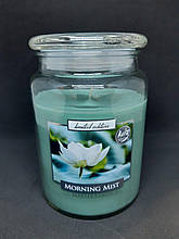 Свічка ароматизована в посудині AURA Bispol Morning Mist 500г