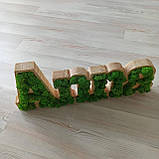 Ім'я з дерева та стабілізованого моху, фото 4