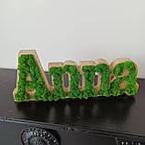 Ім'я з дерева та стабілізованого моху, фото 3