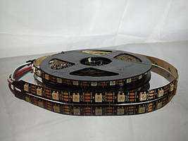 Адресна світлодіодна стрічка WS2812B 60 IP65 1м