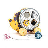 Дерев'яна каталка-сортер PolarB Їжачок (44025), фото 3