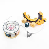 Дерев'яна каталка-сортер PolarB Їжачок (44025), фото 5