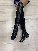 Сапоги высокие, ботфорты женские зимние или деми кожаные на шнуровке на каблуке 3 см