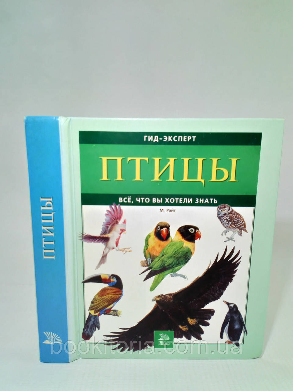 collen. Все, що ви хотіли знати (б/у).