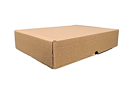 Коробка картонна самозбірна бура, 240*170*100 Т-22