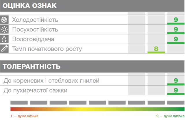 Купить Насіння кукурудзи Syngenta СИ ЗЕФІР (ФАО 430), цена 4274 ...
