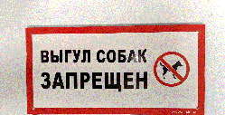 Табличка "Вигул собак заборонено" 120*240мм, одностороння