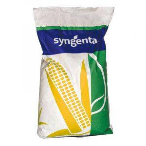 Насіння кукурудзи Syngenta СІ СКОРПІУС (ФАО 290)