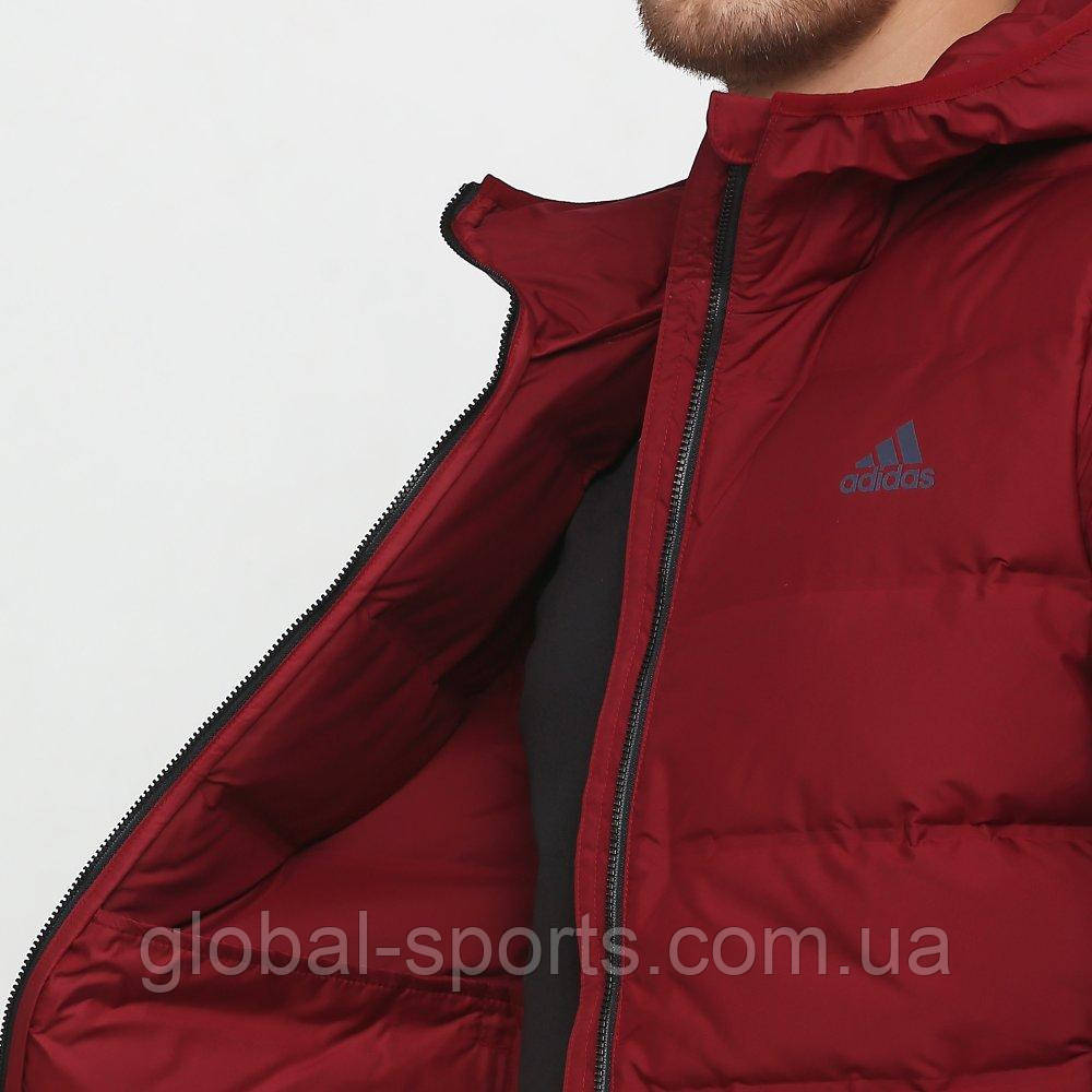 Generalmente hablando ético Aplastar Купить Мужской пуховик Adidas Helionic Ho Jkt (Артикул: DZ1426), цена 4770  ₴ — Prom.ua (ID#1278570754)