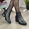 Черевики жіночі класичні шкіряні на невисокому стійкому каблуці, фото 2