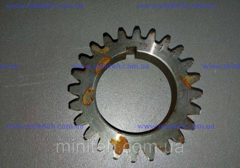 Шестерня колінчатого валу дв. R-180 (Z-24, d-40 mm), фото 1