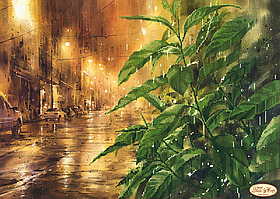 Вишивка бісером "Нічні бліки" 30х43