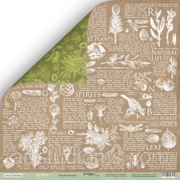 Аркуш двостороннього паперу 30x30 від Scrapmir Енциклопедія з колекції Cozy Forest