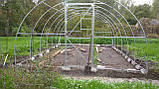 Теплиця "Файна" 3 х 4 м, (труба оцинкована 30х20 мм.), повний комплект "Стандарт", плівка UV-4, 100 мкм., фото 4