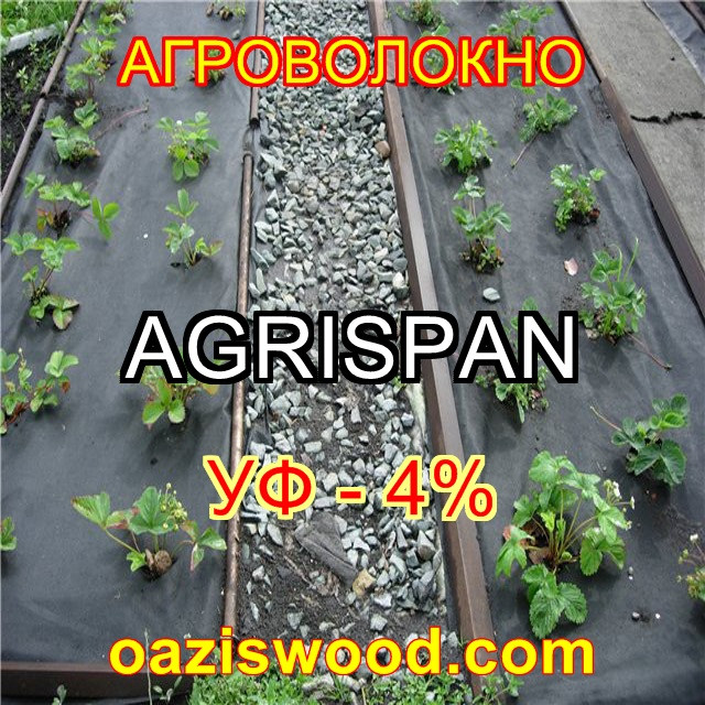 Агроволокно чорне UV-P 4% AGRISPAN-АГРИСПАН Польська якість за доступною ціною.