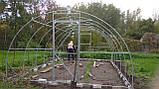 Каркас теплиці "Світлиця-6+" 4х6х2,2м, труба 20х20х1мм, фото 7