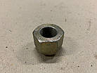 Гайка болта передньої маточини МТЗ ЮМЗ (Агро-Днепр) (40-3103017), фото 2