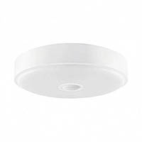 Світильник стельовий Xiaomi Yeelight Crystal Sensory Ceiling Light Mini 250 мм діаметр (YLXD09YL)