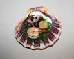 Морская раковина в качестве тарелки Италия - фото 2 - id-p1279002414