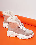 Жіночі зимові черевики спортивного стилю на високій підошві (пудра), фото 4