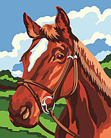 Розпис за номерами "Жеребець" Лавка Чудес 40 x 50 см (в коробці) (LC20141)
