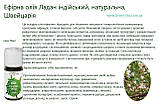 Ефірна олія Ладан індійський, натуральна, Швейцарія, фото 4