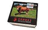 Електропастух COWBOY 4200 ECO MAX, фото 2