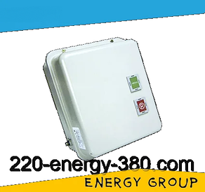 Пускач ПМЛ-3621