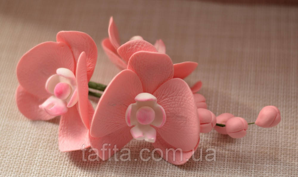 Гілочка орхідеї рожевої з мастики