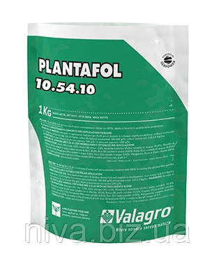 Особливості плантатора для рослин