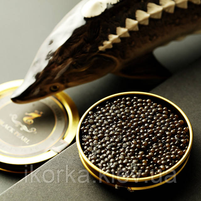 Черная икра - восторг и блаженство Купить настоящую черную икру