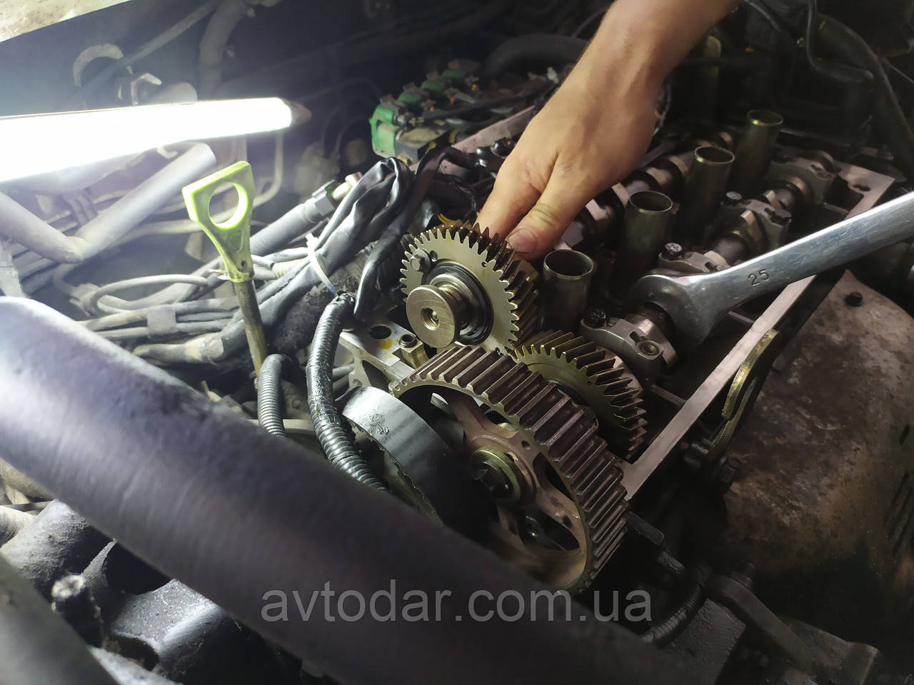 Заміна ременя Ролика ГРМ ЗАЗ Віда, фото 1