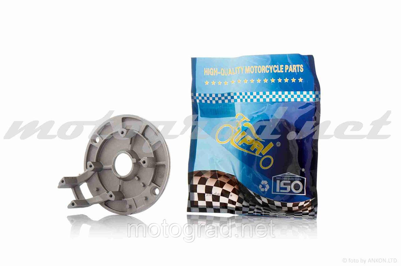 Пластина кріплення генератора TTR 125 1+1 LIPAI, фото 1