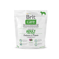 Сухой корм Brit Care (Брит Кеа) Adult Large Breed Salmon & Potato для взрослых собак крупных пород 1 кг