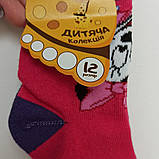 Дитячі шкарпетки, р.12, Демісезон, фото 4