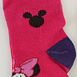 Дитячі шкарпетки, р.12, Демісезон, фото 3