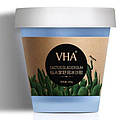 Заспокійливий смузі-гель VHA Cactus з екстрактом кактуса VHA 200 g, фото 3