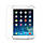 Захисне скло для Apple iPad mini 2, фото 3