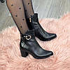 Черевики жіночі на невисокому каблуці. Натуральна шкіра та шкіра "пітон", фото 3