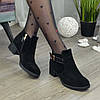 Жіночі замшеві туфлі на стійкому каблуці, чорний колір, фото 3