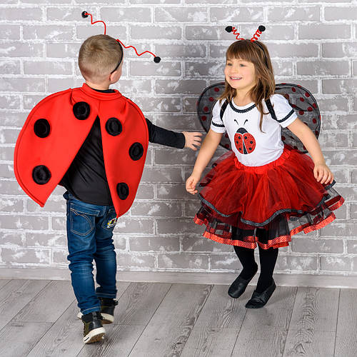 Детский карнавальный костюм Божья коровка для мальчика (ID#1280103828 ...