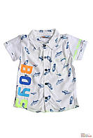 Рубашка с трикотажными вставками для мальчика (110 см.) Mackays