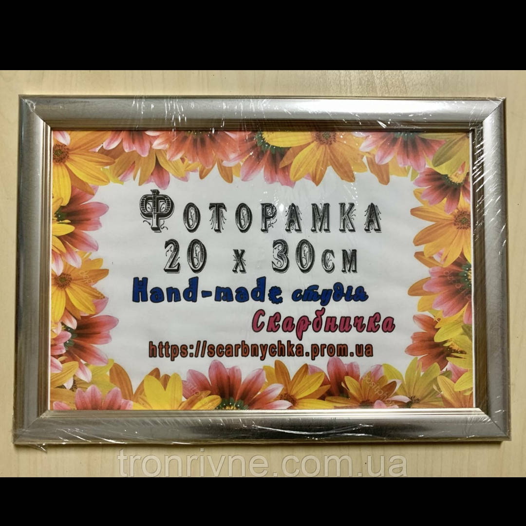 Фоторамка 20х30. Багет пластиковий. Зі склом. Срібло 2313-07