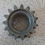 Шестерня диференціала мала Z-15/16 КПП мототрактора 12-15-18 к.с., фото 2