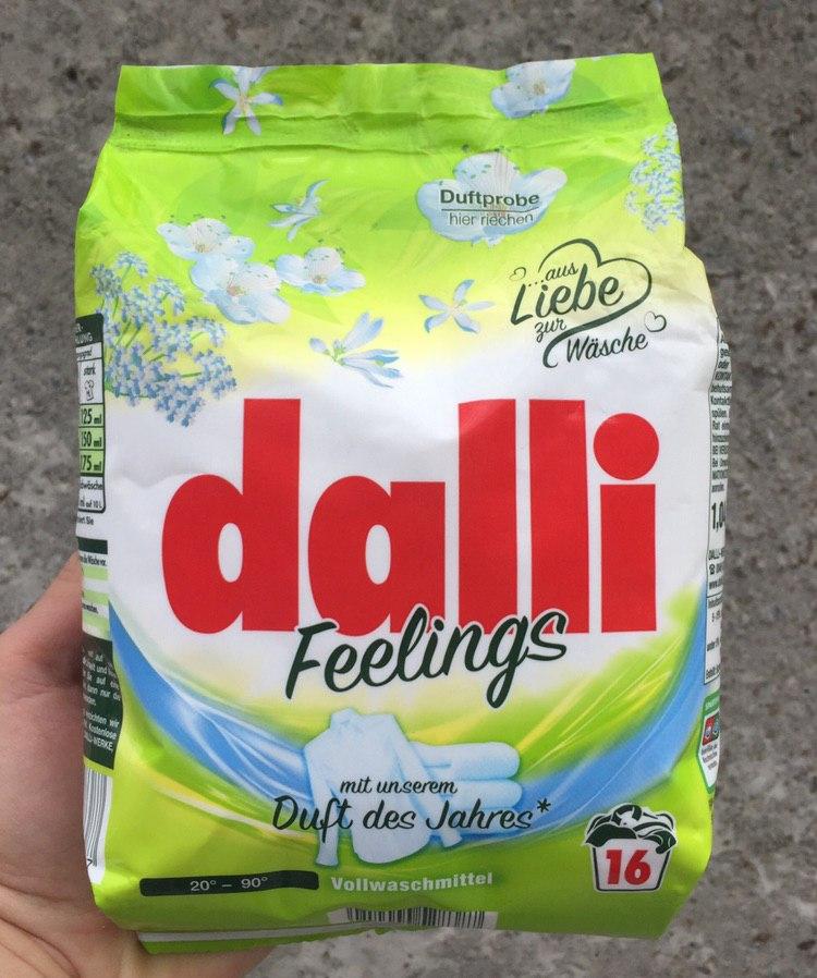 Пральний порошок Dalli Feelings (1,04 кг/16стирок)
