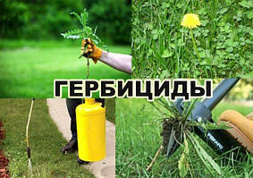 ГЕРБІЦИДИ ВІД БУР'ЯНІВ