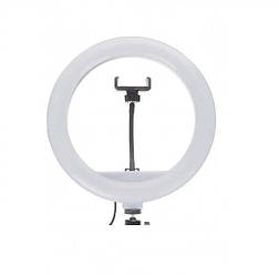 Світлодіодна кільцева лампа для фото та відео зйомки JY-300 (30см)